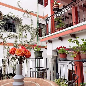Fantastico Loft Centro Historico Apartment